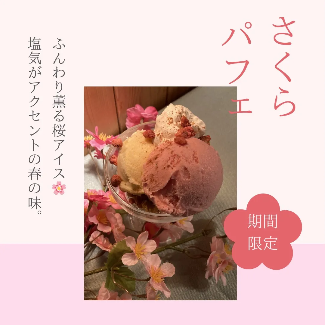 3月も気づけば折り返し 🌸✨