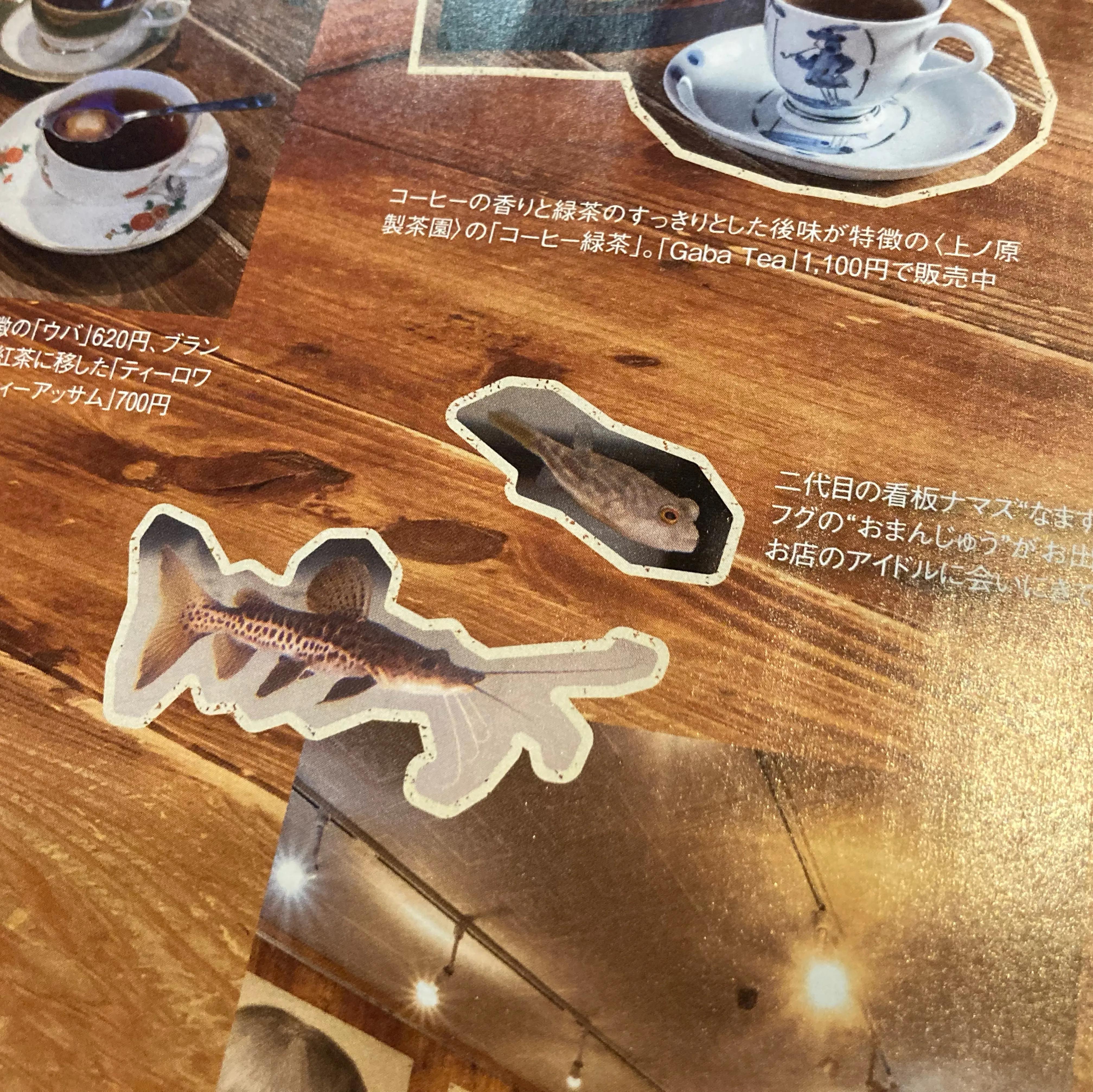 昨日発売の『ながさきプレス 6月号』に、当店「indies ...