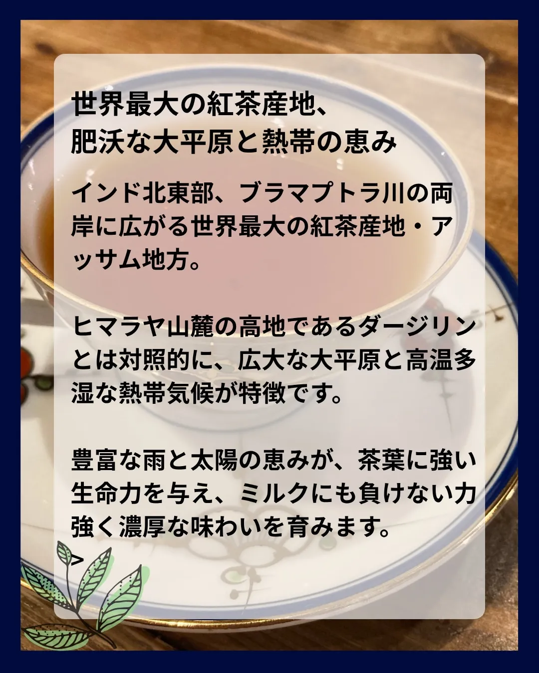 【 indies art club TEA MENU 】
