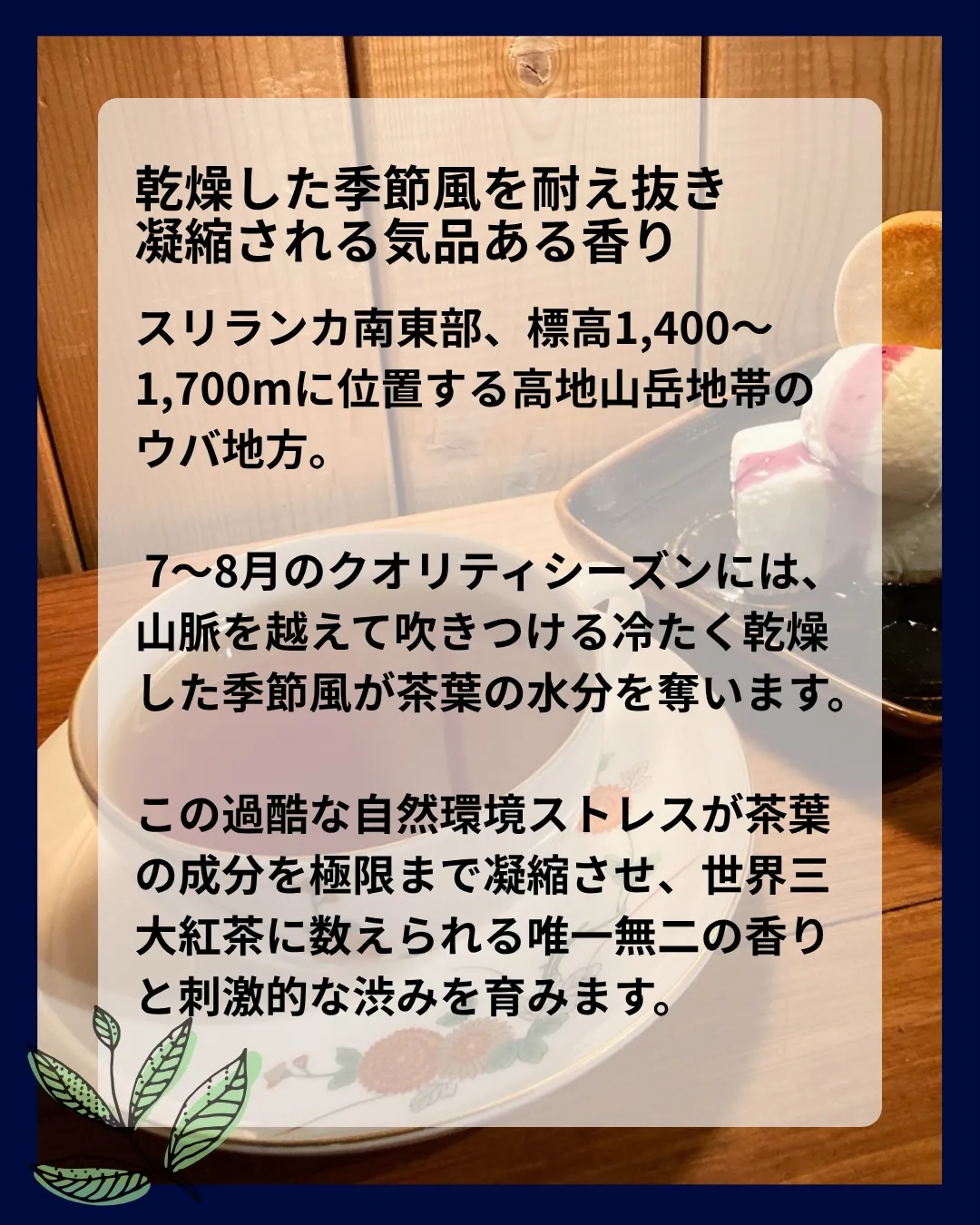 【 indies art club TEA MENU 】