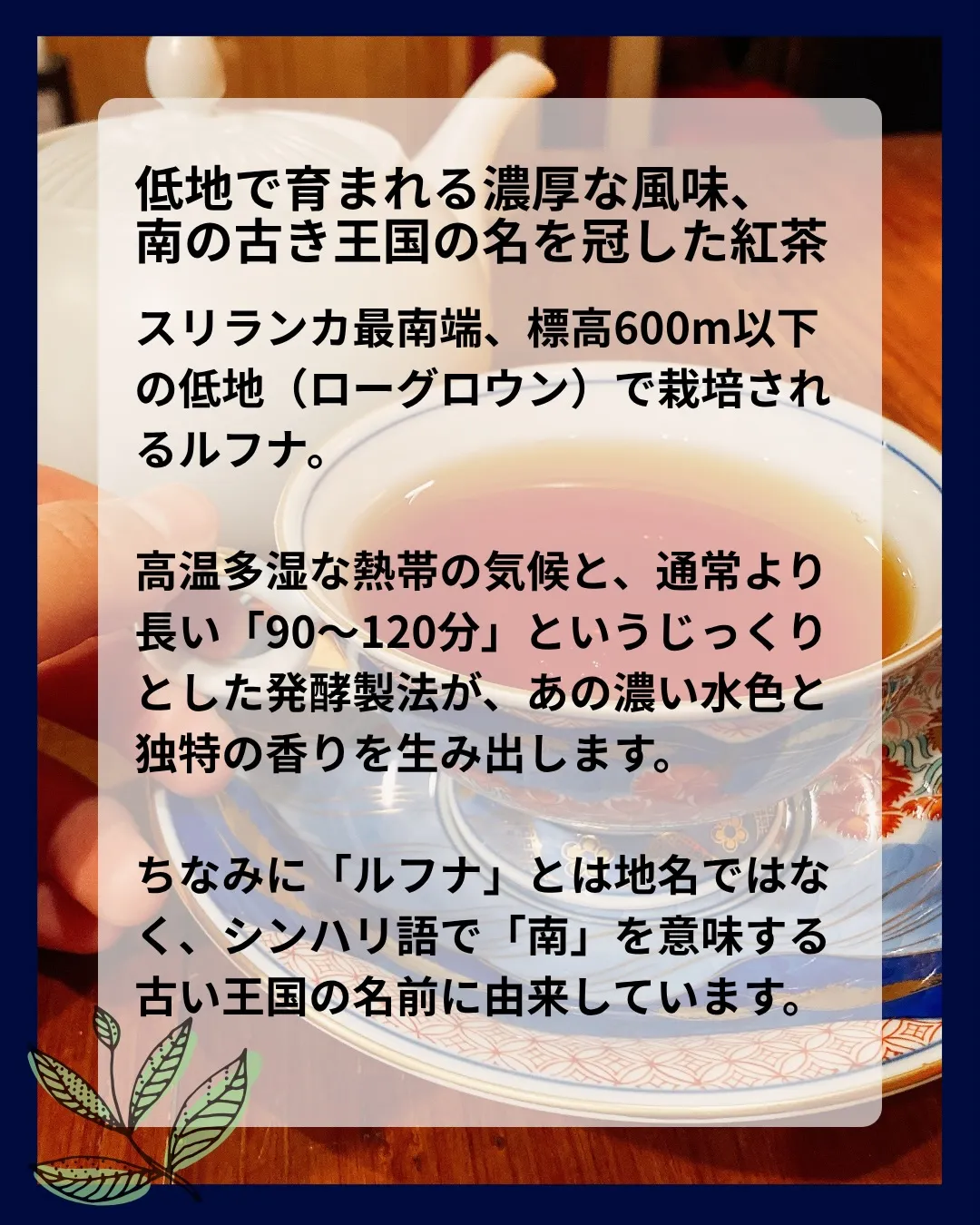 【 indies art club TEA MENU 】