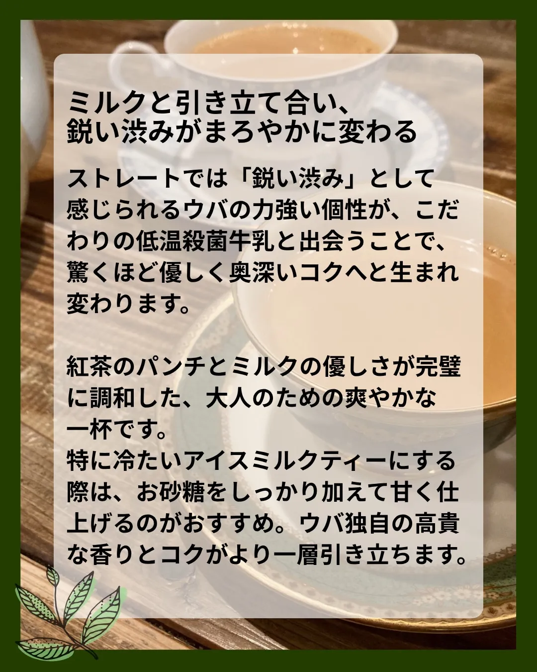 【 indies art club TEA MENU 】