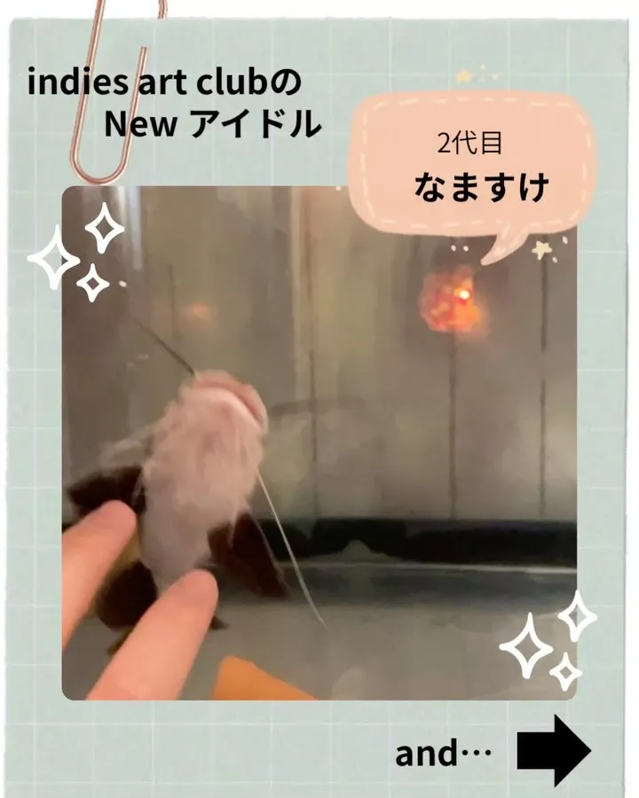 indies art clubの新しいアイドル、誕生！🎉
